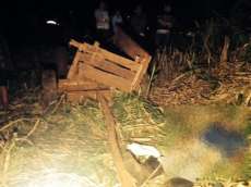 Agricultor morre pisoteado por vacas no interior de Capanema