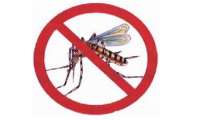 Quedas - Será realizado no município levantamento de índice de dengue