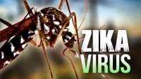 Ministério da Saúde confirma circulação do zika em todo o País