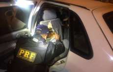Polícia Rodoviária Federal apreende 38 quilos de maconha na BR-277
