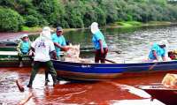 Mutirão retira lixo do lago de Itaipu