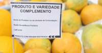 Frutas, verduras e legumes vendidos a granel ou embalados serão rotulados em todo o Paraná