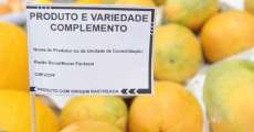 Frutas, verduras e legumes vendidos a granel ou embalados serão rotulados em todo o Paraná