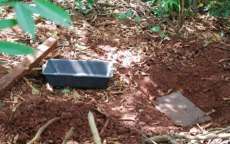 Irmão engravida irmã e bebê é enterrado no quintal de casa no interior do PR