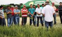 Laranjeiras - Dia de Campo COPROSSEL: Novas tecnologias oferecem mais resistência e produtividade nas lavouras de trigo da região