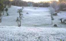 O inverno come&ccedil;a hoje e a previs&atilde;o &eacute; de geadas mais frequentes no Paran&aacute;