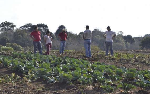 Pinhão - Secretaria de Agricultura incentiva a agricultura familiar