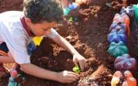 Laranjeiras - Projeto Horta Escolar começa a ser implantado na Rede Municipal de Ensino