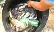 Candói - Força Verde detém dois por pesca predatória