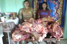 Quedas - Dono de bar é detido com 176 kg de carne de gado de origem duvidosa