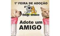 Quedas - Dia 08 de novembro acontece a 1ª Feira de Adoção de Animais. Venha encontrar seu novo amigo