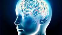 Qual a diferença entre AVC e aneurisma cerebral? Confira
