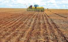 Paranaenses antecipam plantio de soja para fugir do risco de geada