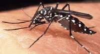 Guaraniaçu - Município realiza Mutirão de Limpeza no combate ao Aedes Aegypti