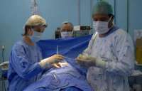Primeiro transplante de útero da América Latina é realizado no Brasil
