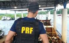Dupla é presa no Paraná com duas toneladas de maconha em carga de sucata