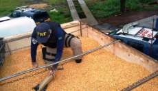 Polícia Federal faz maior apreensão de drogas do País no Paraná