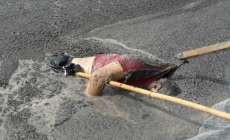 Três Barras - Homem é encontrado morto no interior do município
