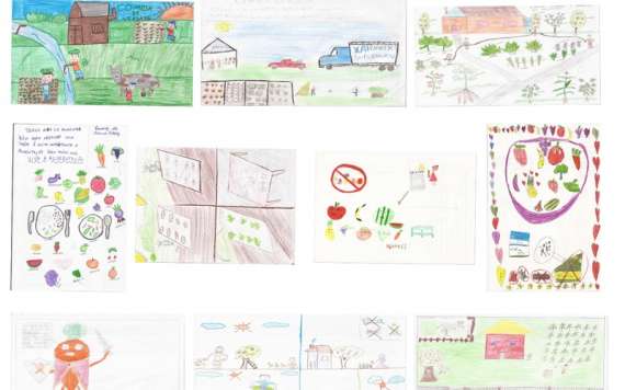Pinhão - 1º Concurso de Desenho Infantil sobre Alimentação Saudável já tem os 10 finalistas