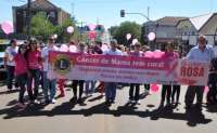 Laranjeiras - Semusa já realizou quase 500 exames preventivos na campanha “Outubro Rosa”