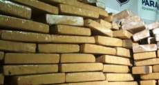 Denarc apreende 186 quilos de maconha no Paraná