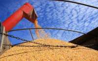 Paraná deverá colher 39,1 milhões de toneladas de grãos na safra 2017