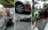 Jovem reencontra cadela após dois anos e animal desmaia de alegria - Assista