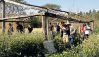 Laranjeiras - Estudantes de Agronomia da UFFS visitam propriedade na Argentina