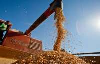 Paraná tem o maior custo de produção de grãos do Brasil