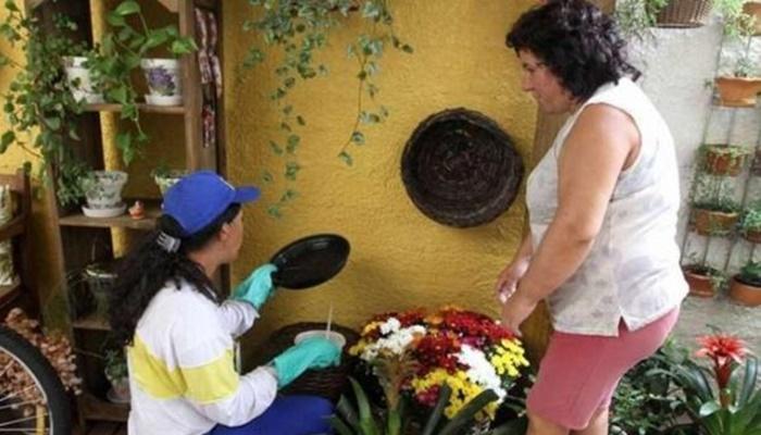 Paraná não registra mortes por dengue há 14 meses
