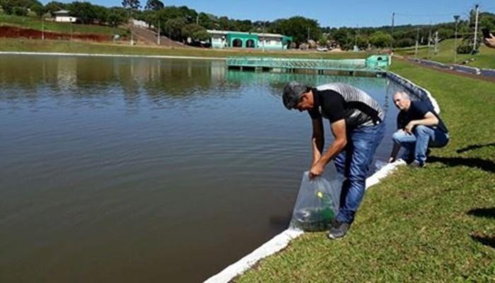 Catanduvas - Prefeitura solta peixes no Lago Municipal 