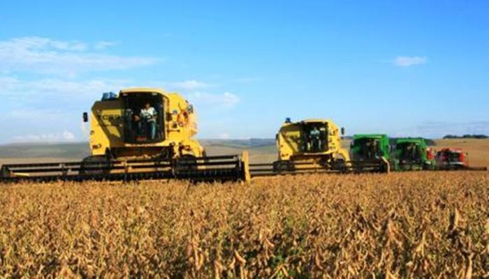 Paraná deverá colher 23 milhões de toneladas de grãos