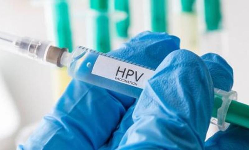 Metade dos jovens brasileiros entre 16 e 25 anos tem HPV, estima pesquisa