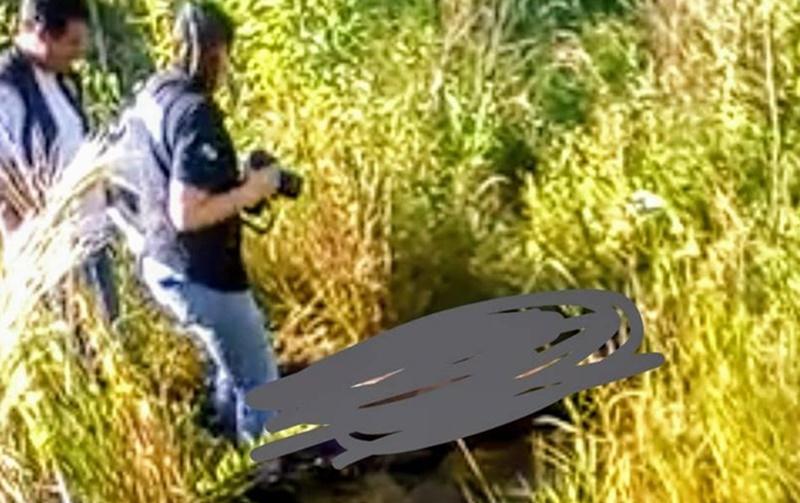 Pinhão - Homem é encontrado morto em matagal no Guarapuavinha