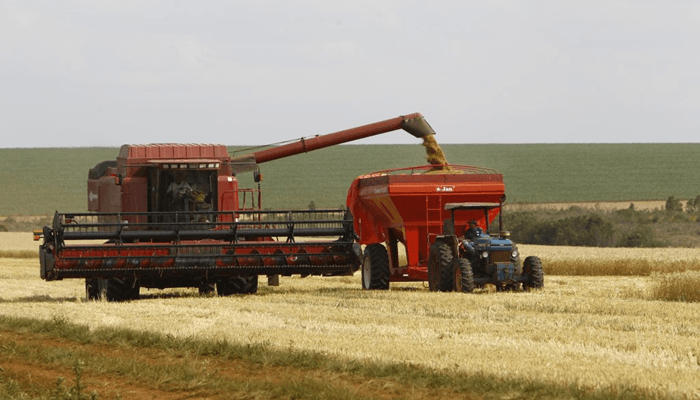Agricultura do Paraná fecha balanço final e confirma safra recorde