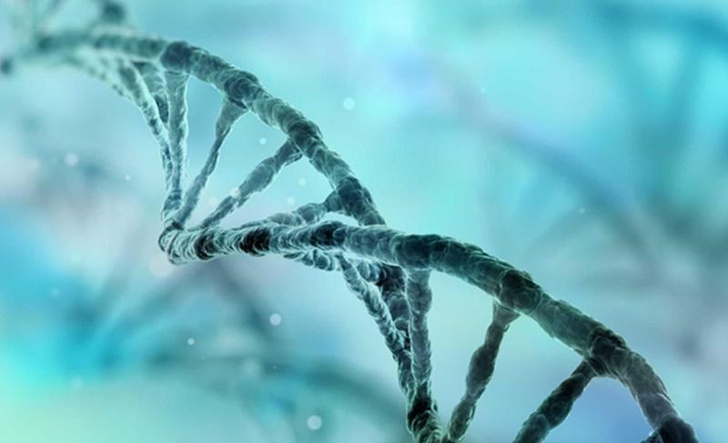 Técnica que altera DNA vira esperança no combate a doenças genéticas