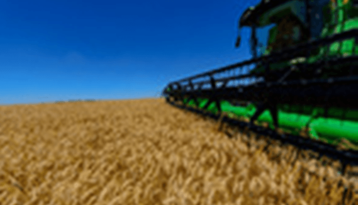 Receita do agronegócio deve crescer mais de 10% em 2018