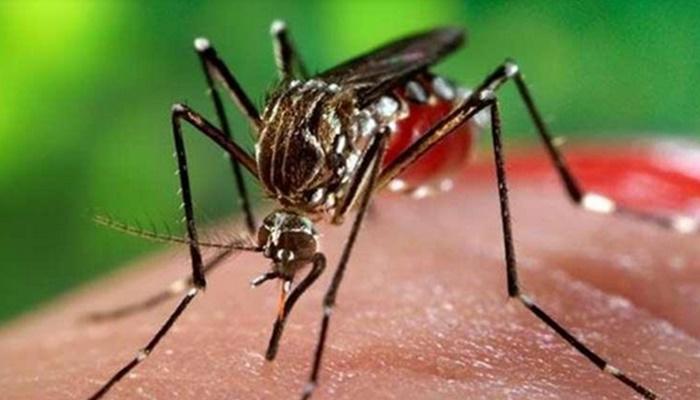 Laranjeiras - Um caso suspeito de dengue é notificado no município