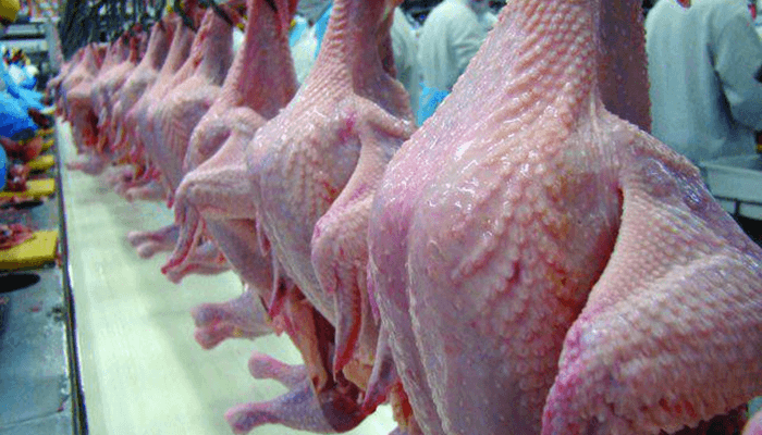 Fraca demanda diminui preços do frango