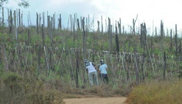 Seita é acusada de escravizar fiéis prometendo livrá-los da 'besta' no apocalipse
