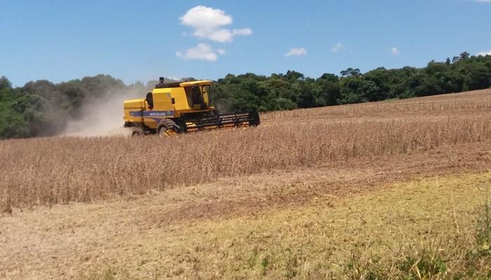 Tempo ensolarado e produtores da soja na Cantu, iniciam as colheitas em ritmo acelerado