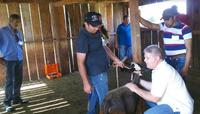 Nova Laranjeiras - Secretaria de Agropecuária em parceria com o Senar-PR promoveu curso de manejo de ovinos de corte
