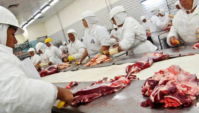 Justiça isenta frigoríficos da responsabilidade de recolher Funrural