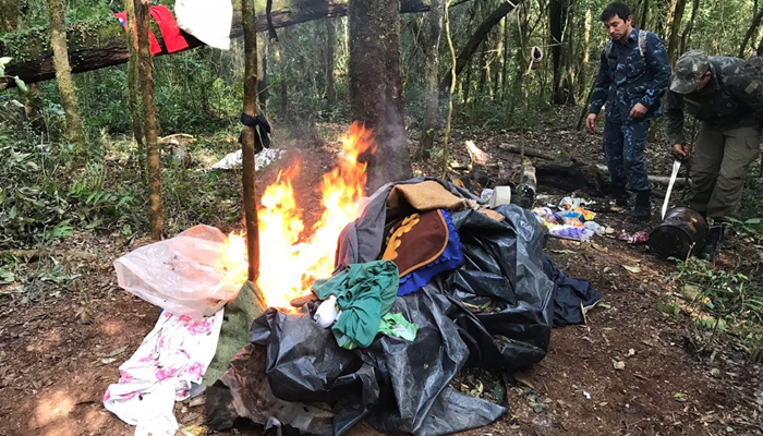 PF destrói três acampamentos e nove campos de caça