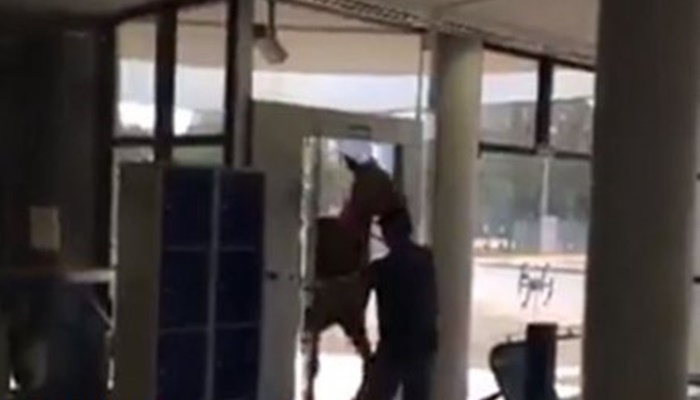 Rapaz entra com cavalo na agência do Banco do Brasil