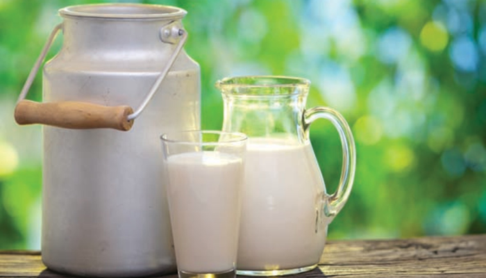 Pesquisa aponta que não há relação significativa entre gordura do leite e doenças cardíacas