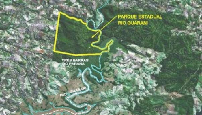 Três Barras - Onça capturada é solta na mata do Rio Guarani