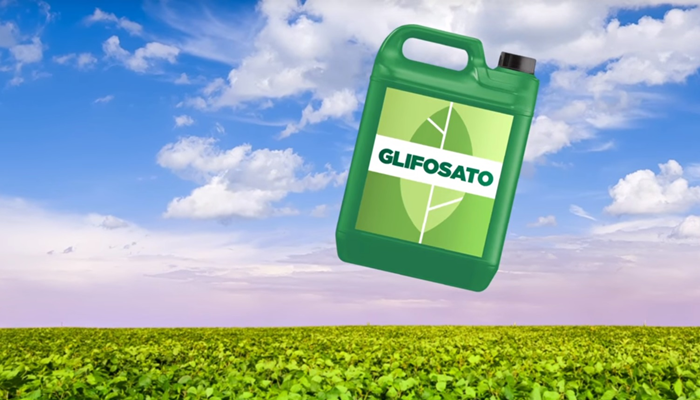 Proibição do glifosato pode prejudicar safra de soja e milho, diz Maggi