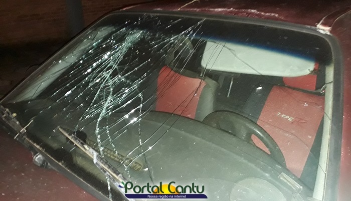 Laranjeiras - Carro bate em árvore no centro da cidade e fica todo destruído