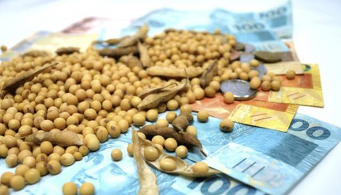 Preço da soja em Paranaguá se aproxima de R$ 95, diz Cepea